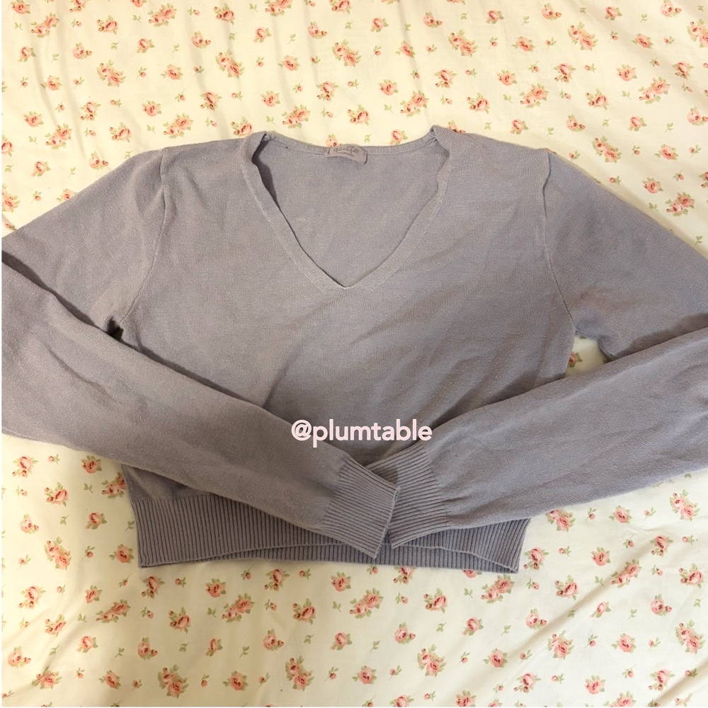 Brandy Melville Lavender V-Neck Sweater